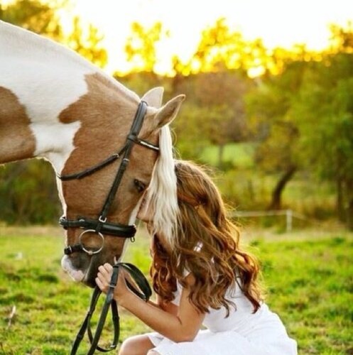 your average country girl, living in a crazy world. twitter bff: @Country__Thang | country girl at heart. ♡