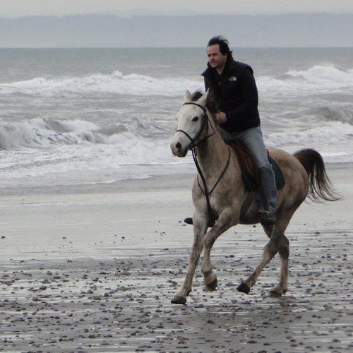 sebatorresd's profile picture. 