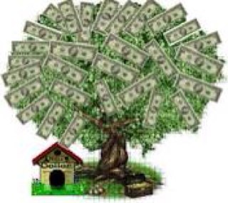 Let FEET help you walk into financial freedom