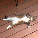 Robert Crimi - @RobertCrimi - Twitter