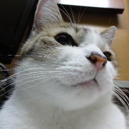 アニメーター(原画、作監、アナログ作画)。猫1匹（しじみ）と同棲中。2020/9腎臓移植、脱透析。 2024/12左下腿切断。 趣味・食べ歩き、レトロゲー、サバゲ。黒猫、姫リボグッズ収集、ラジオ（馬鹿力）。現在、DMによる仕事依頼は今は受け付けていません。