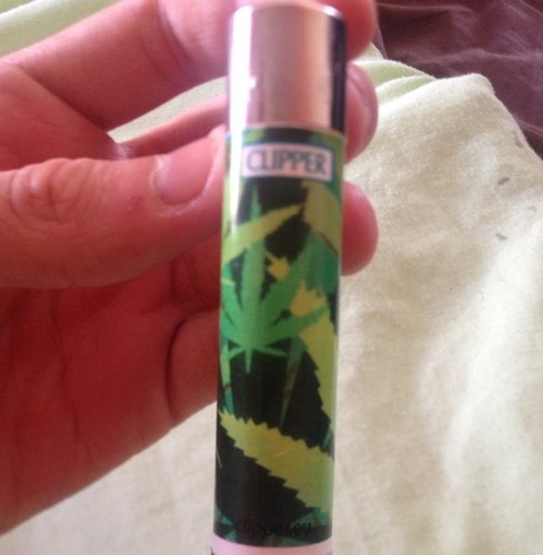 smoke weed and fly...