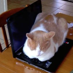 MHockey_'s profile picture. 