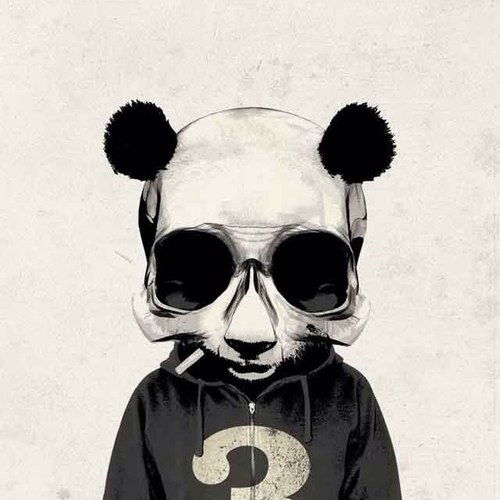 realifetips's profile picture. 