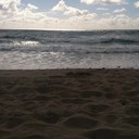 charles wayne paris - @cwayne44 - Twitter