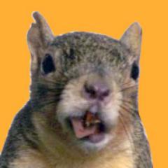 ornerydan's profile picture. 