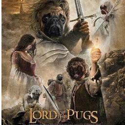 LunaPDog's profile picture. 