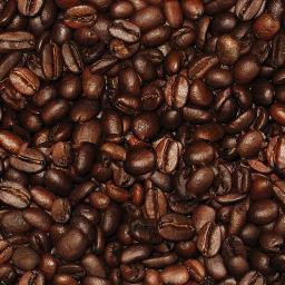 Lestari Kopi Luwak berasal dari Kopi Luwak asli alam Sumatera Selatan. Cp 0811780362 telah bersetifikat dan halal.