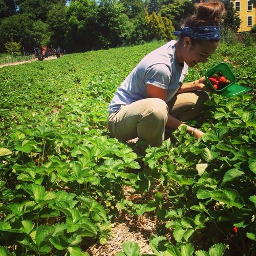 JustKeely's profile picture. I refuse to settle. Nipmuc queer lady farmer, youth worker and educator. Advocate of Humanity, Justice and Community. Content is my own.