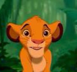 Filho de Mufasa e Futuro Rei da Pedra do Rei. Amo muito a Nala s2