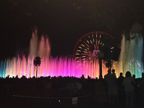 yesseniaherre16's profile picture. 