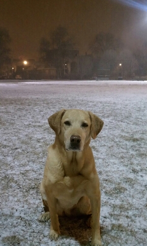 kjgriffin's profile picture. 