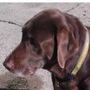 Eileen Estes - @EileenEstes6 - Twitter