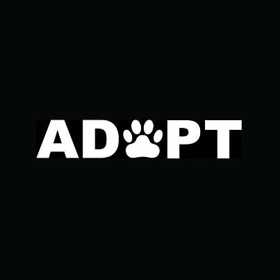 Made by Animals for Animals.