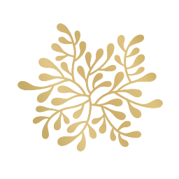 RockcliffeWines's profile picture. Great Southern Winery | James Halliday 5 stars | Quarram Rocks | Third Reef | Rockcliffe Single Site | Rivage | Cellar Door | Cafe | Contract Winemaking