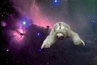 hideyokids0012's profile picture. 