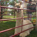 Band Names - @dorothy_pierce - Twitter