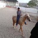 Noé Rojas - @nooe_rojas - Twitter