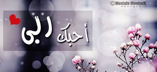 هذا حساب لجمع كل المعلومات المتعلقة بحب الله والسعي في ايصالها الى قلوب كل الناس لنعلم أن حب الله اسمى وارقى من كل حب ...