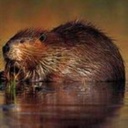 Robyn Petersen - @RobynPetersen16 - Twitter