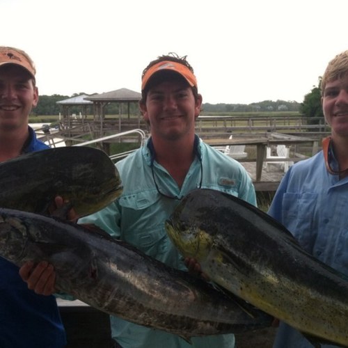 TompkinsRamey's profile picture. Clemson 2016