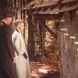 ARchdry's profile picture. There was a dummy bio here before, I am not the famous bomber, I am his sommelier