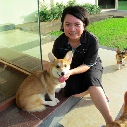 Former potato couch, corgi lover and looking for running buddies!
