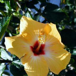 softeegrl's profile picture. Wife,Mother,Nursing Student