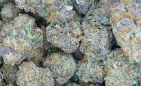 everyone lets make a weed game out of this profile grab your bowl and everytime you see a picture of weed, smoking of weed, or anything weed related take a hit