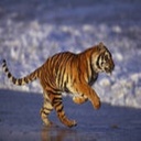 Jaime Bowen - @JaimeBowen15 - Twitter