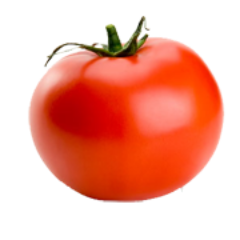 vipulnkm's profile picture. 