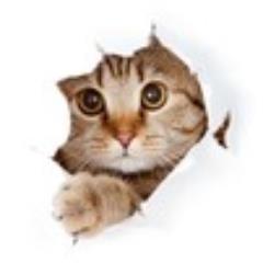 ＩＰＯで復活の軌跡。当選確率･初値予想･ＩＰＯ入門。株FX大損500万円で退場～IPO投資(資金30万）4年で資金600万円に復活。IPO投資のｺﾂ完全公開中！現在利益1500万円超！ブログ記事5000件越！