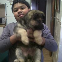 Athol Ontong (@ontonga) 's Twitter Profile