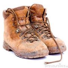 BOIWalk's profile picture. 4th - 6th October 2013.  Bay of Islands Walking Weekend.  These boots were made for walking.