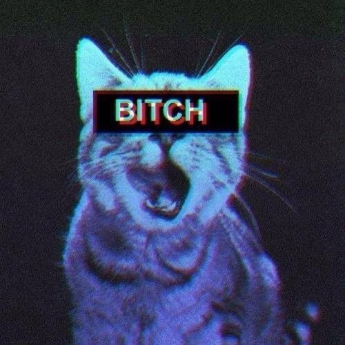 #followback пока ты тренируешься, я бухаю и угораю