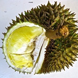 fruitarianism's profile picture. I'm Valentina and I'm 100% fruitarian since 2009. Here you can read recent news about raw fruit diet and my travelings.