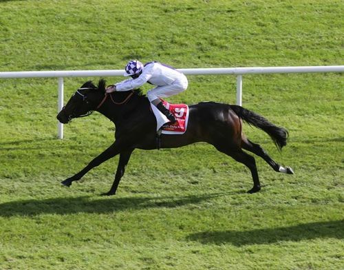 LovelyRhapsody's profile picture. 