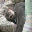 Sylvester Mathews - @SylvesterMathe6 - Twitter