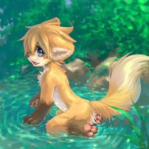 Hello! Im Jasper Walker, i live in the woods. I love talking to animals and humans. Try to catch me if you can. Im worth more then you know