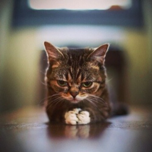 flaming011's profile picture. 