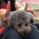 あ (@0926Hs) Twitter
