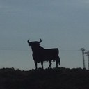 peter rae - @PedroRae - Twitter