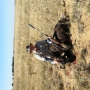 Louis Sauer - @sauer13 - Twitter