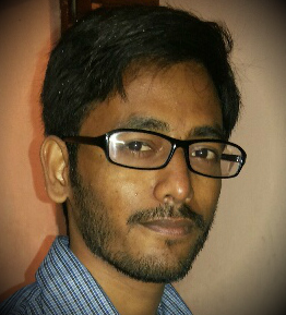 Software Developer