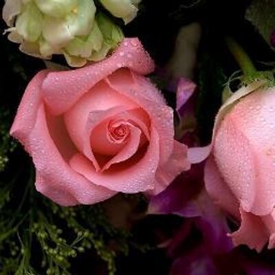 Maha Waleed Miss You Too Sweet Heart Love You Beautiful Flowers Friends T Co In33osy3ri Maha Waleed Miss You Too Sweet Heart Love You Beautiful Flowers Friends T Co In33osy3ri
