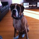 Richard Siebert - @RichardSiebert3 - Twitter