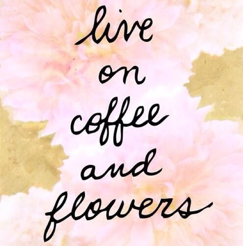 daisycoffeecom's profile picture. We are impassioned coffee roasters who roast coffee derived from fair trade, rainforest alliance and organic coffees and partner with coffee farmers.