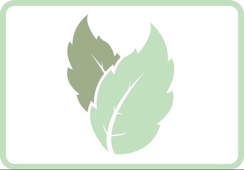MintHairWare Profile Picture
