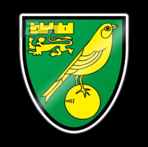 Specialising in providing you the best odds for Norwich City. Part of bestoddsmanagement @bestodds_ Website under construction