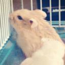 Sonya Gilbert - @sonyagilbert_ - Twitter